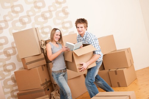 Screen-reader friendly Barnes removals website content